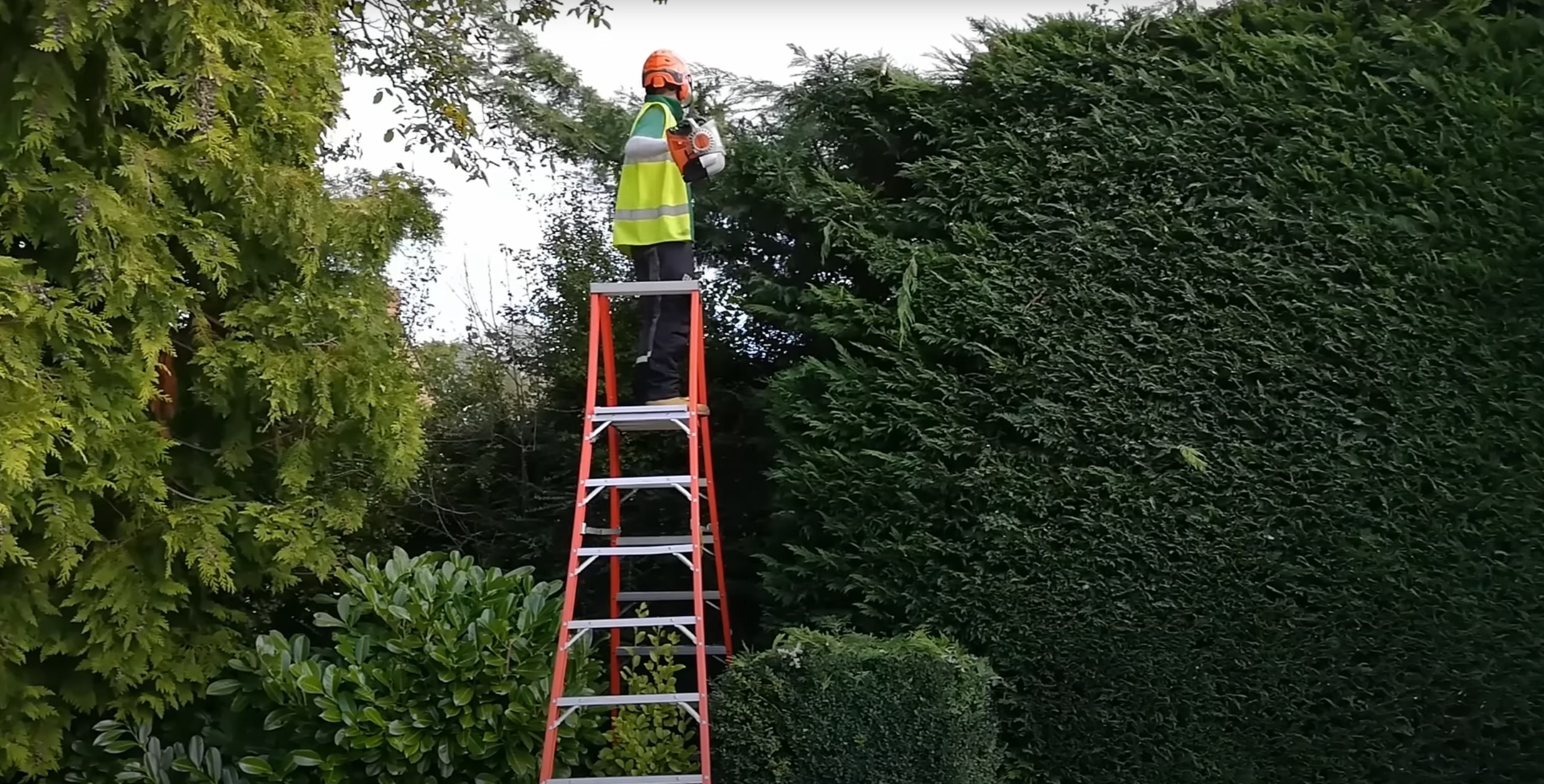 Shrub and hedge trimming services in Napa, CA